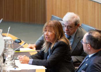 La ministra de Presidència, Economia, Treball i Habitatge, Conxita Marsol. Foto: Consell General / Sergi Pérez