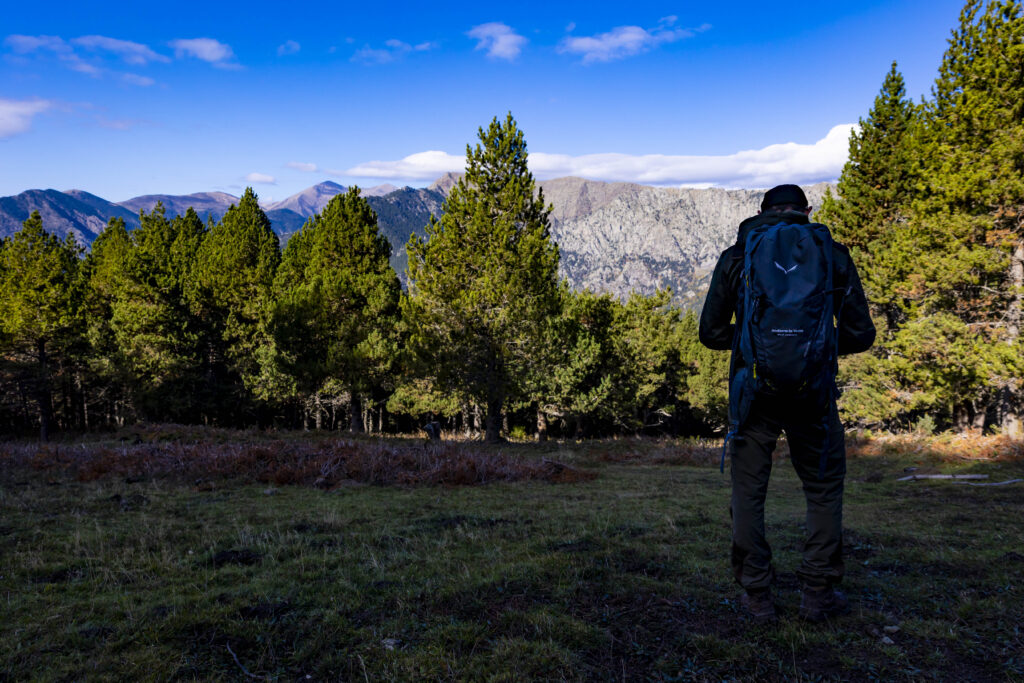 El bosc de Salobre. Foto: Comú d'Andorra la Vella