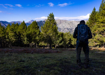 El bosc de Salobre. Foto: Comú d'Andorra la Vella