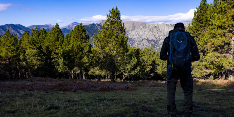El bosc de Salobre. Foto: Comú d'Andorra la Vella