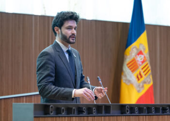 El president del grup parlamentari de Concòrdia, Cerni Escalé. Foto: Consell General