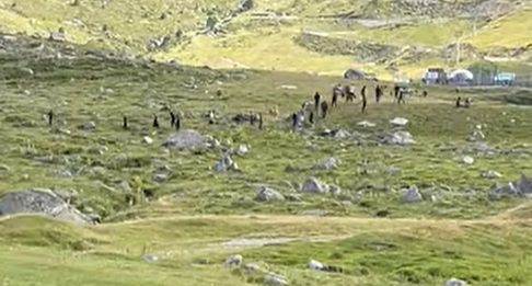 Una vintena de contrabandistes passant tabac a les muntanyes del Pas. Foto: Arxiu.