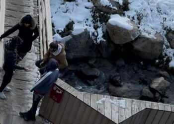 La fotografia que s'adjunta a la publicació.