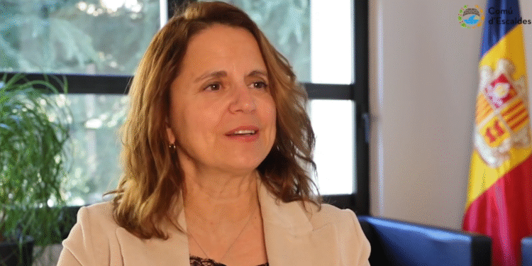 “Les torres no són decisió nostra, les va aprovar el comú de Demòcrates”