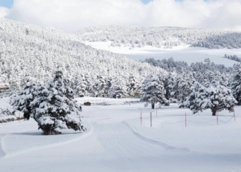 Naturland obre la temporada amb l’objectiu d’assolir els 40.000 visitants
