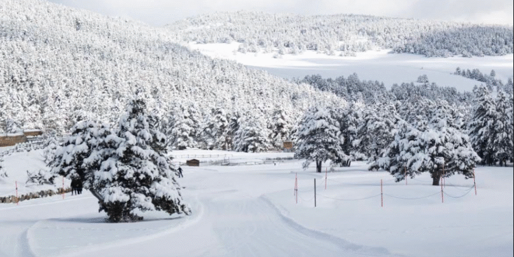 Naturland obre la temporada amb l’objectiu d’assolir els 40.000 visitants