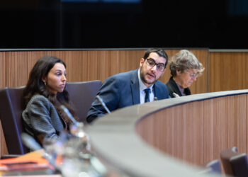 Pere Baró durant la sessió del Consell General. Foto: Consell General