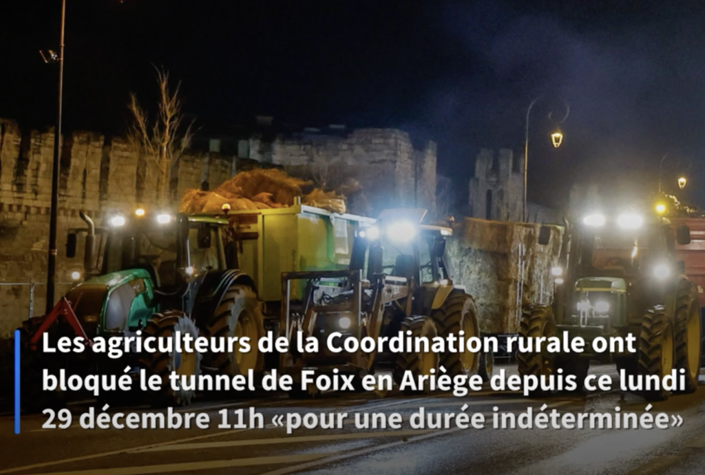 Imatge de la protesta recollida per un mitjà francès. Foto: LF.