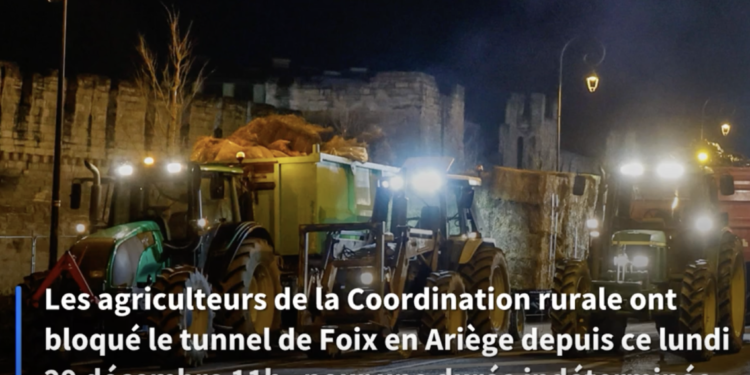 Imatge de la protesta recollida per un mitjà francès. Foto: LF.