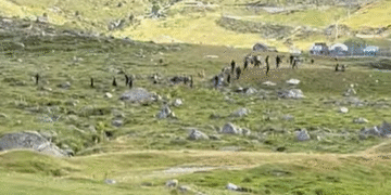Una vintena de contrabandistes al Pas. Foto: Arxiu.