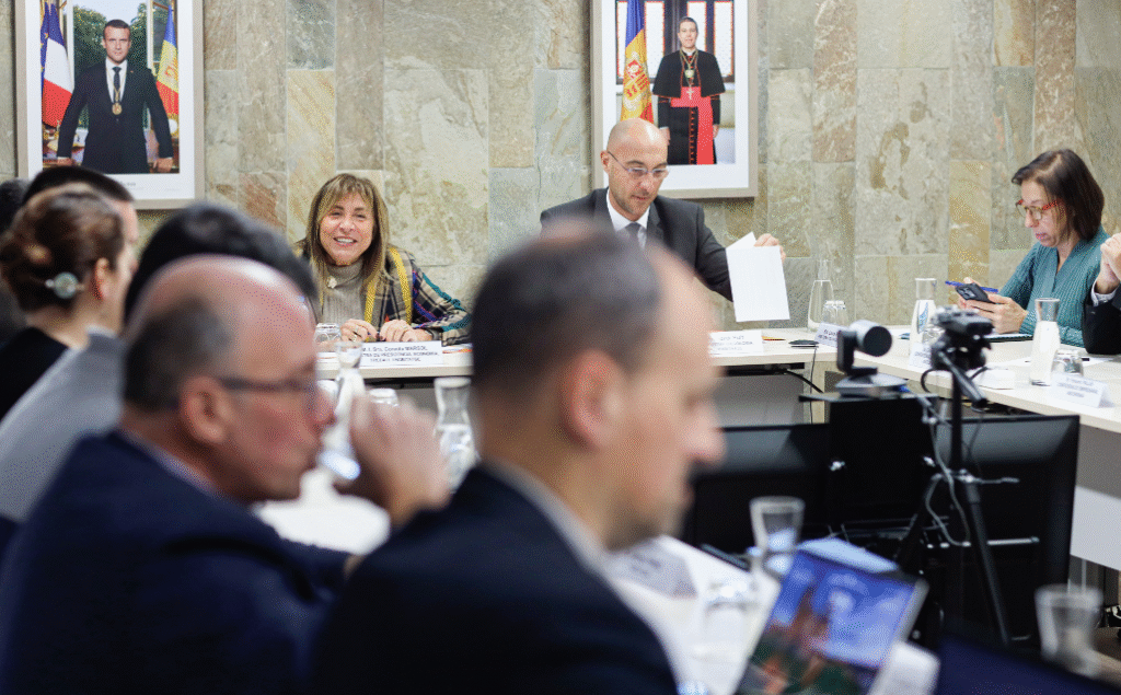 La darrera sessió del Consell Econòmic i Social (CES).