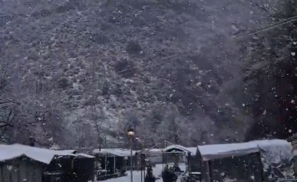 El vídeo de la nevada a la Farga de Moles per Nadal