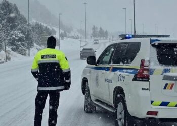 Control policial. Foto: Google.