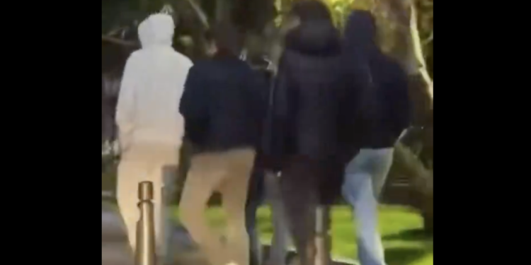 Imatge del vídeo. Foto: X.