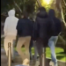 Imatge del vídeo. Foto: X.