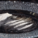 Imatge d'arxiu d'un plat amb restes de cocaïna