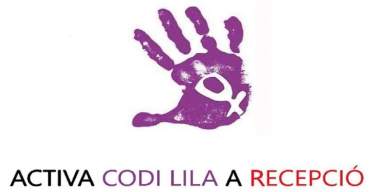 L'arrest va tenir lloc arran de l'activació d'un codi lila. Foto: Google.