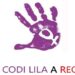 L'arrest va tenir lloc arran de l'activació d'un codi lila. Foto: Google.