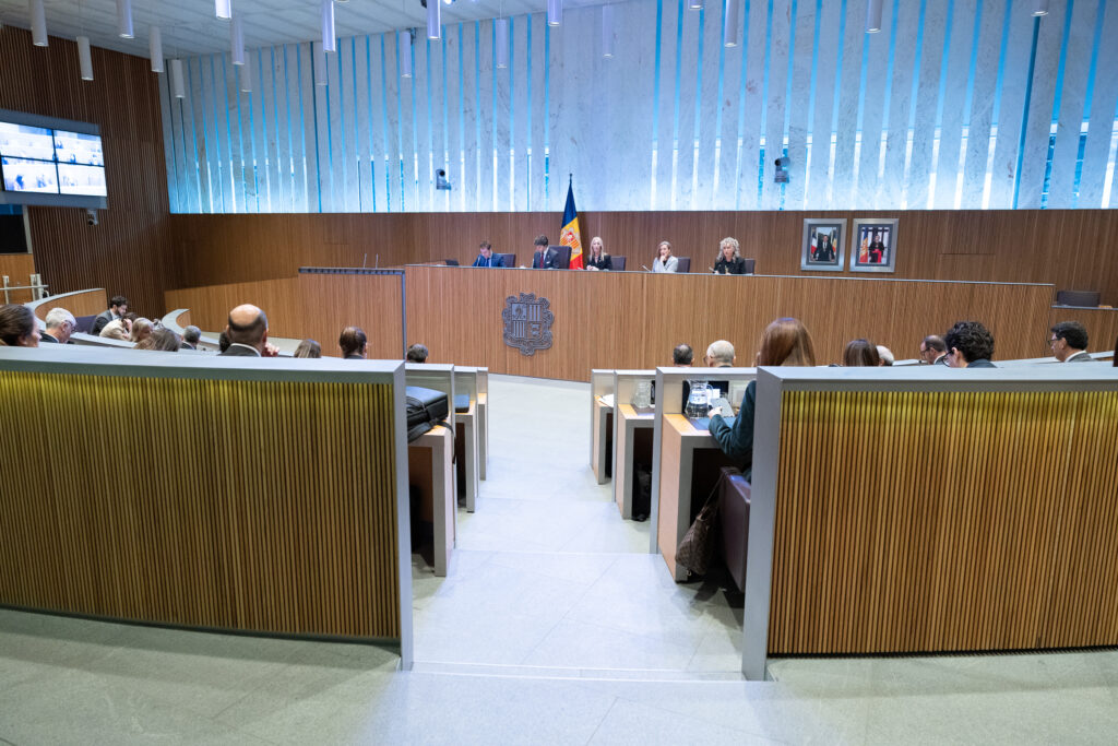 Sessió de Consell General. Foto: Consell General