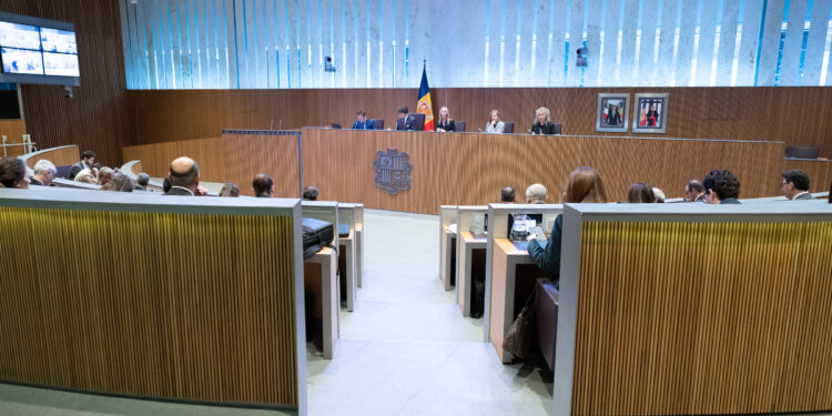 Sessió de Consell General. Foto: Consell General