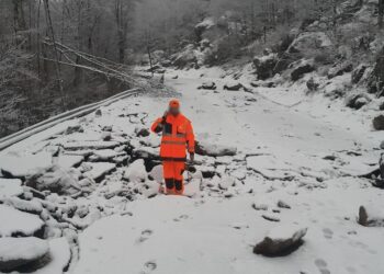 Imatge de l'estat en què ha quedat el tram afectat. Foto: Prefectura.