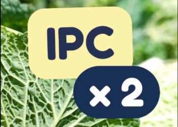 El vídeo on s’explica que des del 2019 el salari mínim ha passat de 1.050 a 1.525 euros