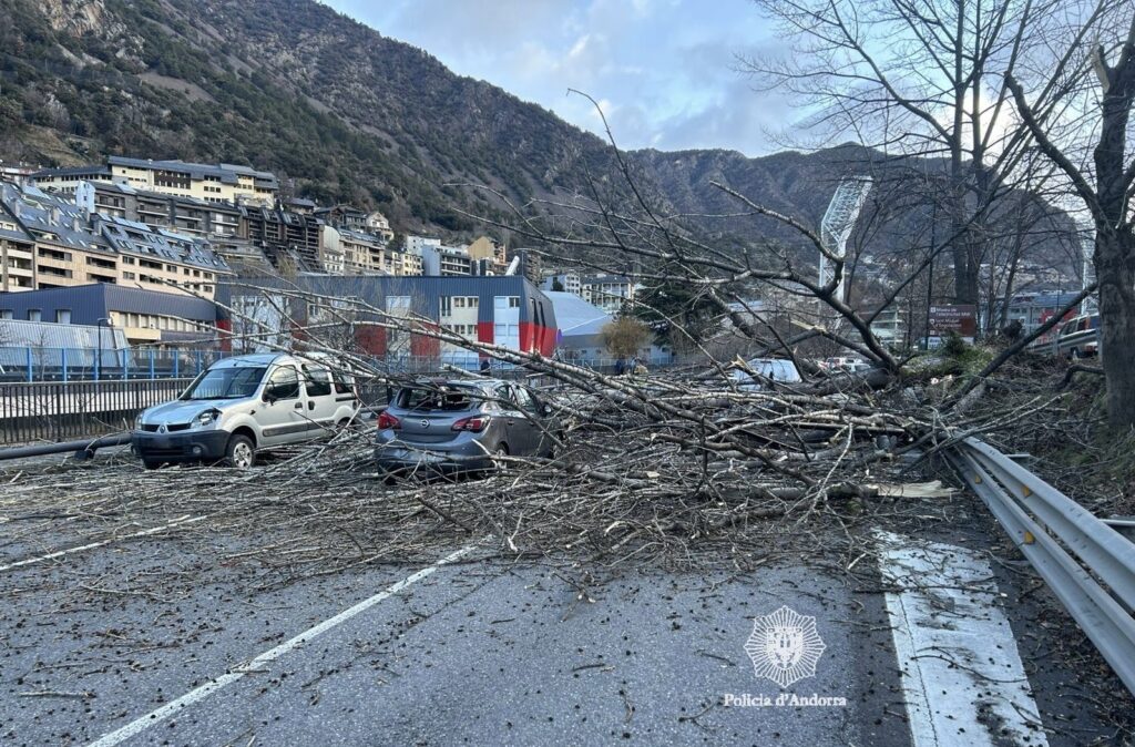 Imatge de la zona. Foto: Policia.
