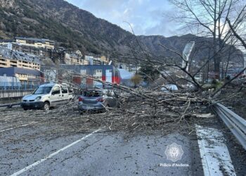 Imatge de la zona. Foto: Policia.