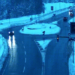 Fins a 12 centímetres de neu a cotes altes