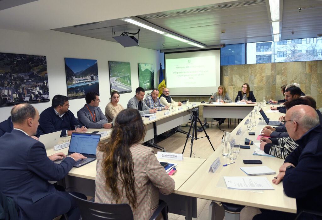 El Consell Econòmic i Social d'aquest dijous. Foto: SFG