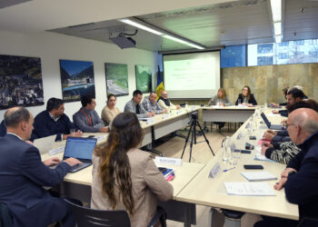 El Consell Econòmic i Social d'aquest dijous. Foto: SFG