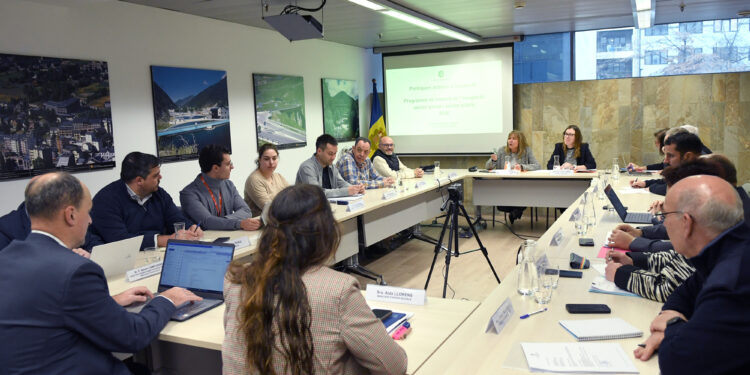 El Consell Econòmic i Social d'aquest dijous. Foto: SFG