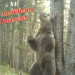 Un dels ossos identificats a Andorra. Foto: Banders