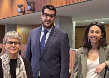 Els representants del grup parlamentari socialdemòcrata. Foto: PS
