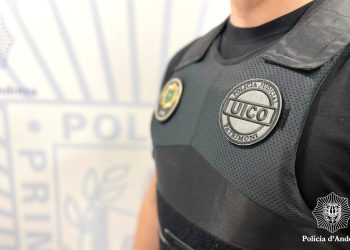 Un agent del grup de delictes contra el patrimoni. Foto: Policia d'Andorra