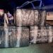 Intenten passar 118 quilos de tabac just abans de la reobertura de l'accés a Andorra des de França