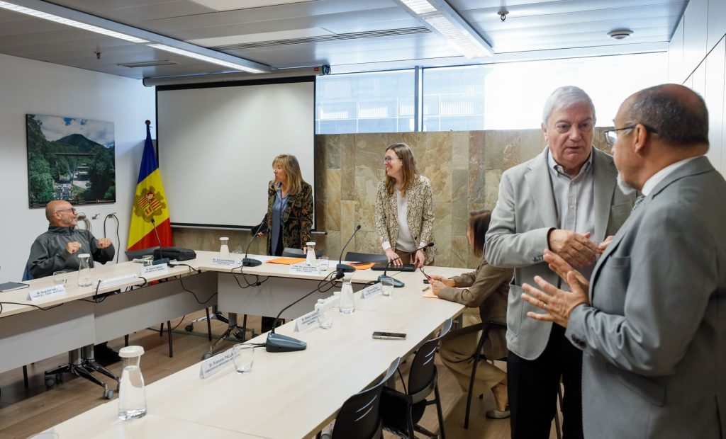 Consell Econòmic i Social