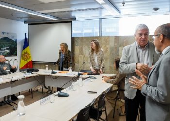 Consell Econòmic i Social