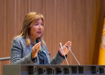 La ministra d'Habitatge, Conxita Marsol, al Consell General. Foto: Consell General