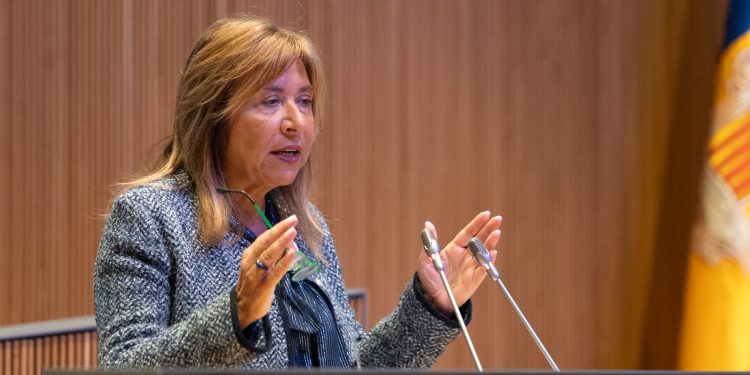 La ministra d'Habitatge, Conxita Marsol, al Consell General. Foto: Consell General