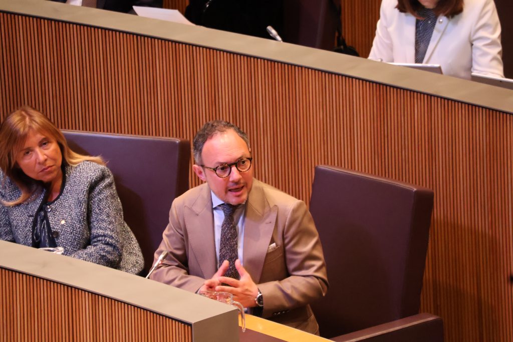 Xavier Espot a Consell General / ANA