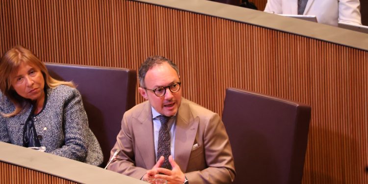 Xavier Espot a Consell General / ANA