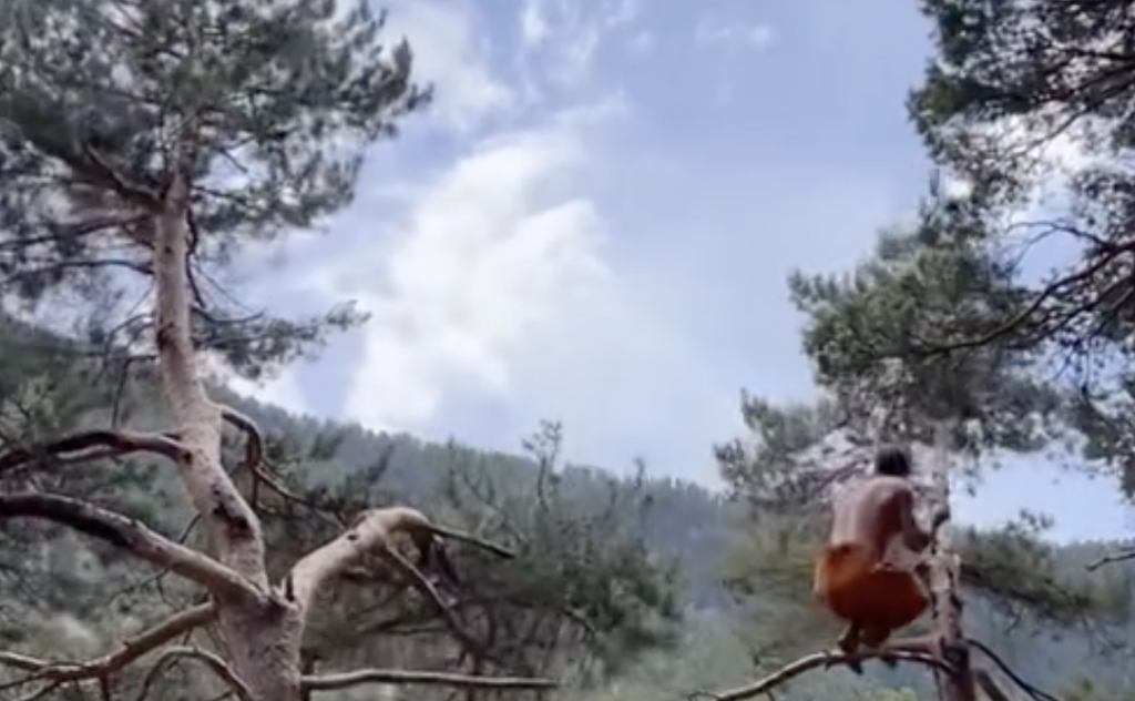 Primal movement als boscos d'Andorra / Instagram