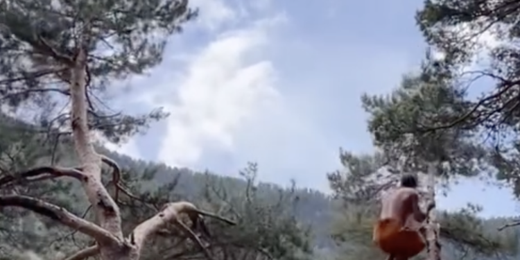 Primal movement als boscos d'Andorra / Instagram