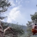 Primal movement als boscos d'Andorra / Instagram