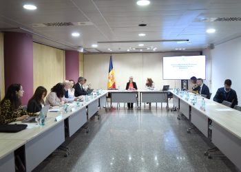 La 19a reunió de la Comissió Nacional de Prevenció de la Violència de Gènere i Domèstica. Foto: SFG
