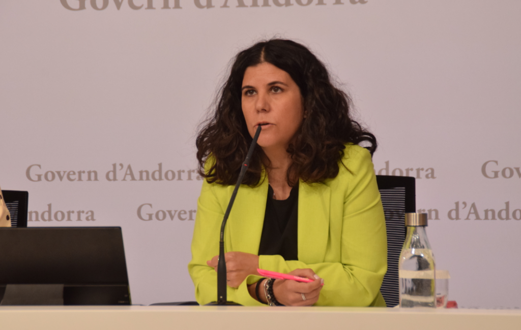 La directora del Departament d'Infància i d'Adolescència, Laura Mas, en roda de premsa.