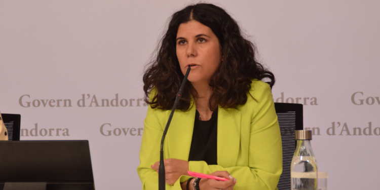 La directora del Departament d'Infància i d'Adolescència, Laura Mas, en roda de premsa.