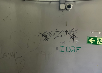 Les pintades a l'aparcament comunal.
