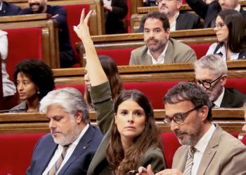 Mònica Sales Junts